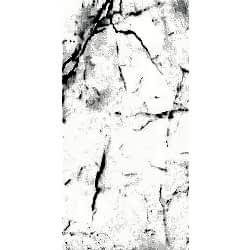 Kalebodur Mpb-R257 Statuario Parlak 60x120